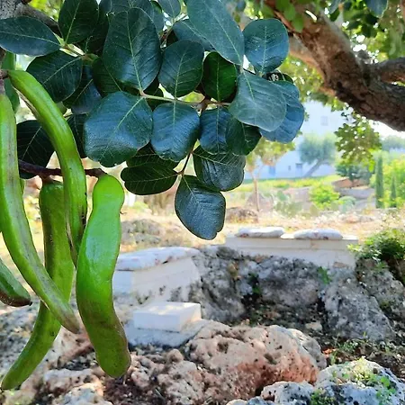 I Due Carrubi Vakantiehuis