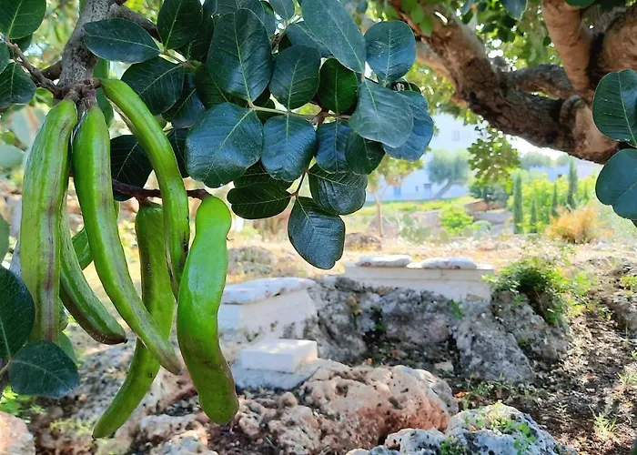 I Due Carrubi Casa de Férias